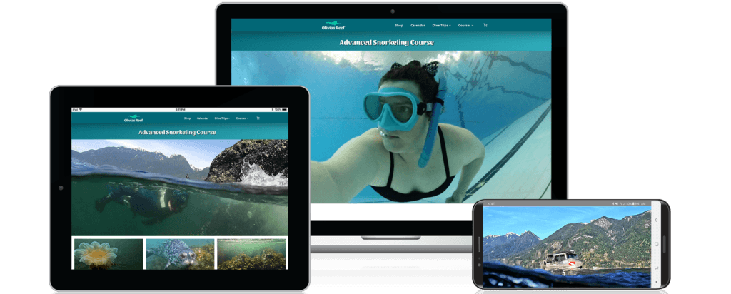 Advanced Snorkeling Course and Adventure with Olivia's Reef Diving Vancouver. E-Learning screens