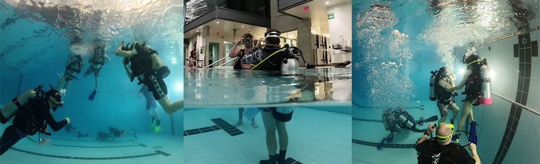 Try Scuba Diving with a PADI Open Water Course in Vancouver with Olivia's Reef Diving