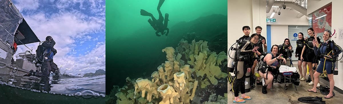 Vancouver Open Water Course with Olivia's Reef Diving